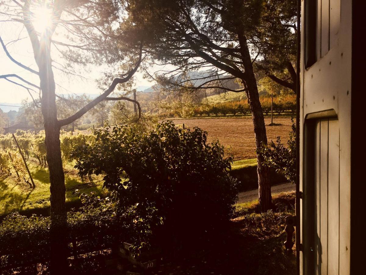 Casola Valsenio Il Cardello Locanda المظهر الخارجي الصورة