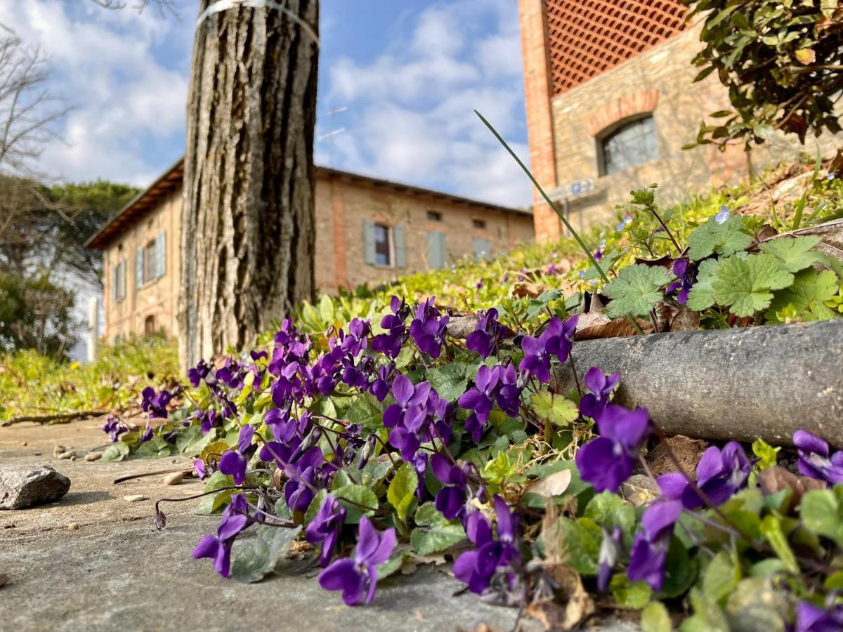 Casola Valsenio Il Cardello Locanda المظهر الخارجي الصورة